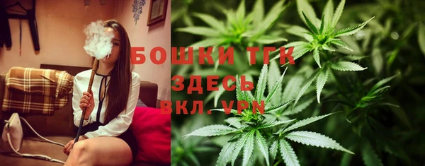 шишки Наволоки